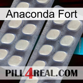 Anaconda Strong 07
